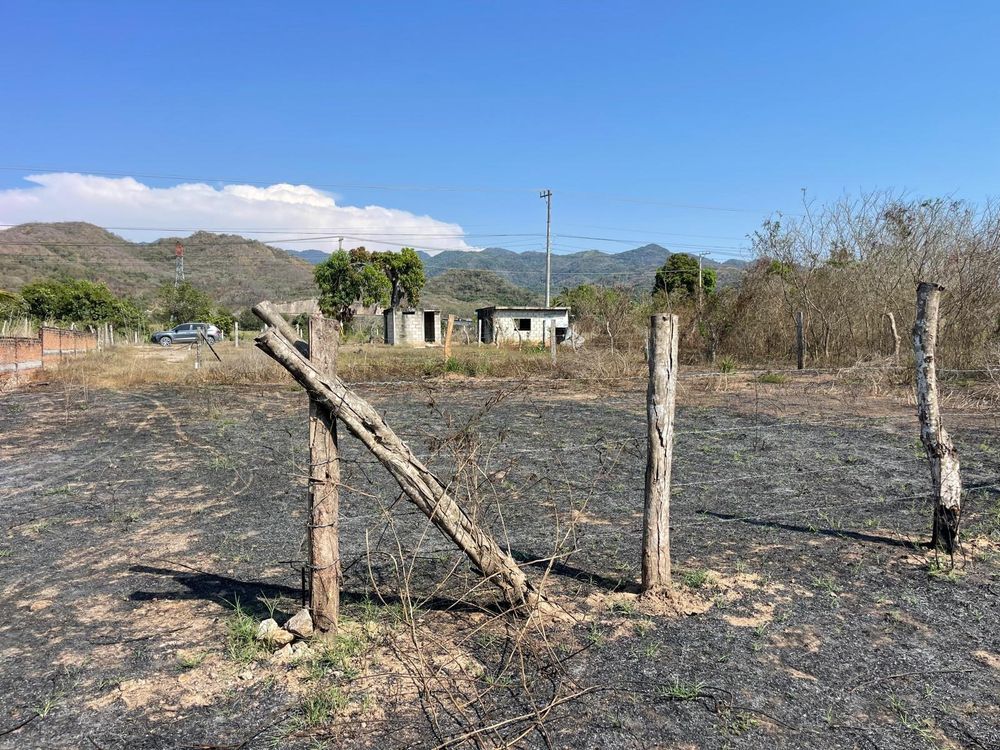 lote Monteon