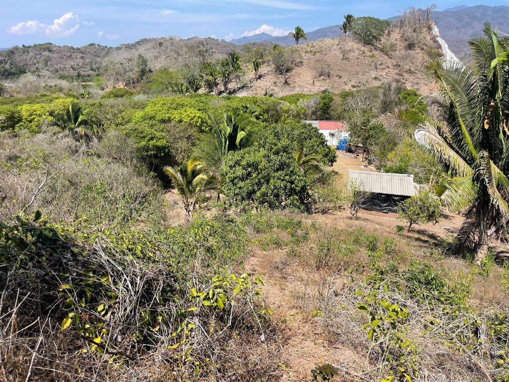 La Mariposa Homestead